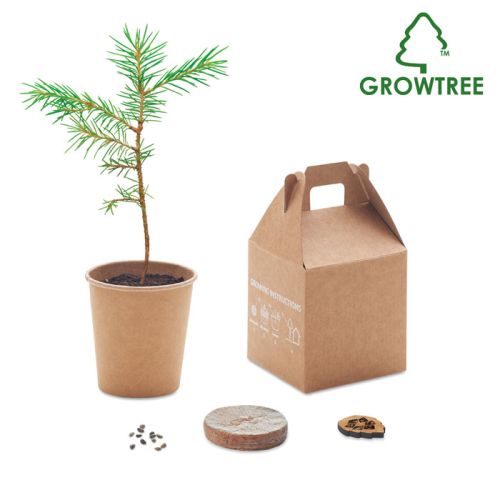 Pine tree box - Image 1